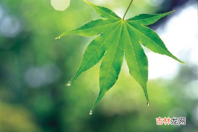 聪明的女人从来不贪图,傻女人却一直向男人索要的两样东西
