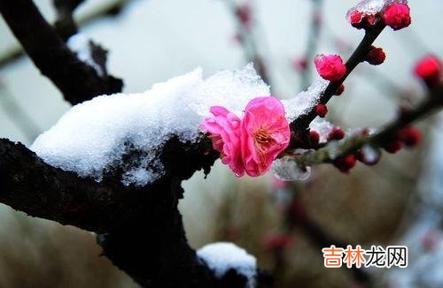 -你是否想过 如果你老了,老伴儿不在了,你需要主动依靠三个人