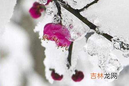 -你是否想过 如果你老了，老伴儿不在了，你需要主动依靠三个人