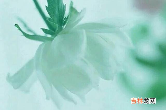 女人心 中年女人对你有这三个暗示,说明她对你有意思