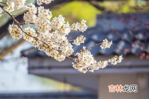 在这个世界上 人老了,不要做以下几件糊涂事,这才是真的明智