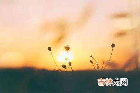 人到中年不可避免要面临的一个压力 选择亲家，远离这三种家庭，才是真的为儿女着想