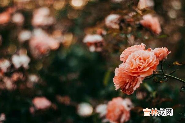 以下三种家庭，最好不要结亲，这不是势利，而是远见