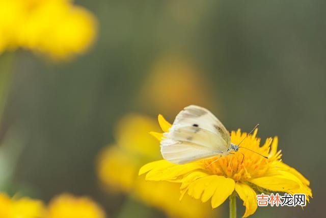 女人择偶 如果一个男人没有主动给你以下三样,都不要轻易嫁给他