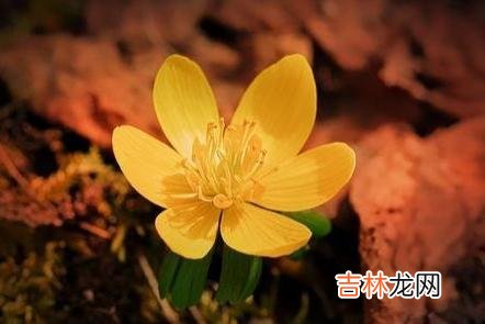 女人择偶 如果一个男人没有主动给你以下三样,都不要轻易嫁给他