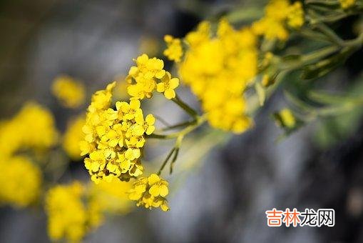 女人择偶 如果一个男人没有主动给你以下三样,都不要轻易嫁给他