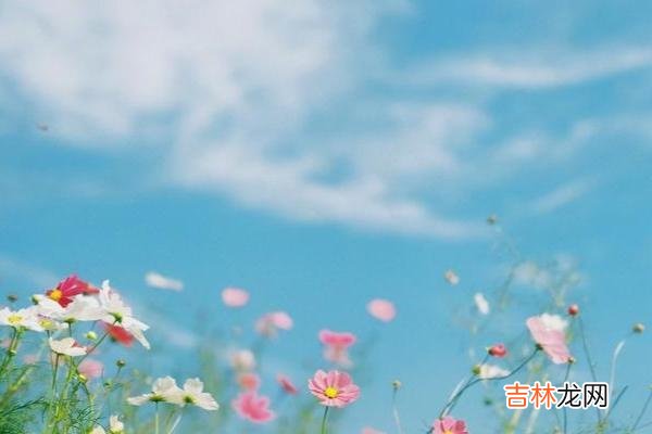 男人与女人之间 女人在感情中,想要让男人爱到上瘾,就要主动索取三样东西