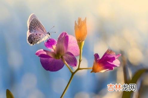 我们每个人在社会上都不会是一座孤岛 奉劝所有人最好别随便去别人家串门，原因很现实，也很扎心