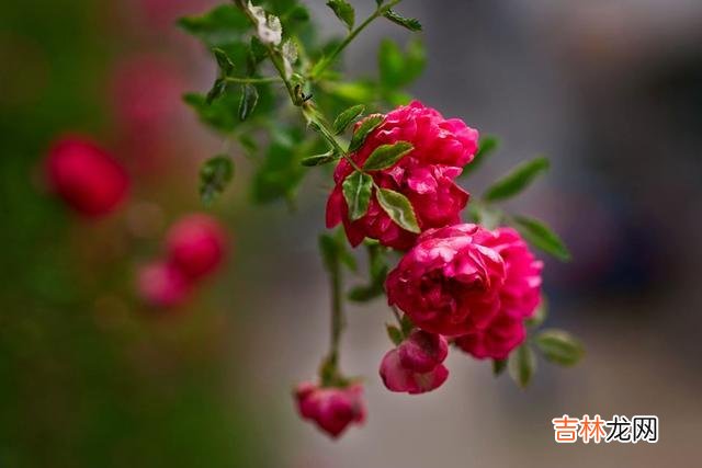 女人允许你在某些方面越界，说明她已经在心里认定你了