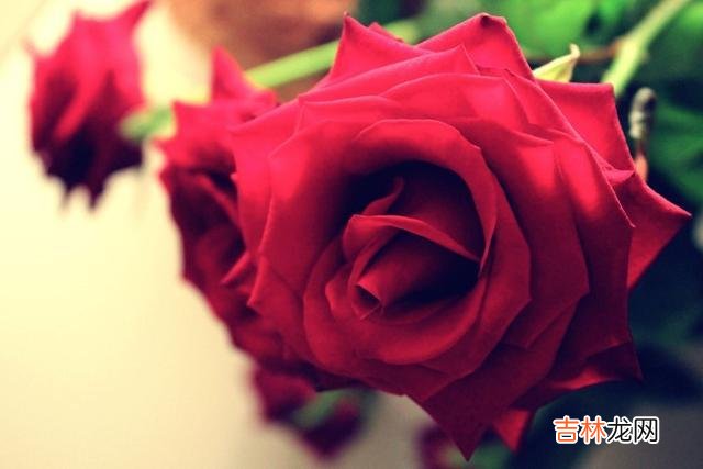 女人允许你在某些方面越界，说明她已经在心里认定你了