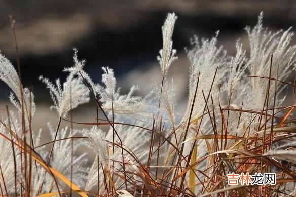 爱情在男人的生活中只是一种消遣 男人与女人之间，要有一定的距离，这样才会有新鲜感