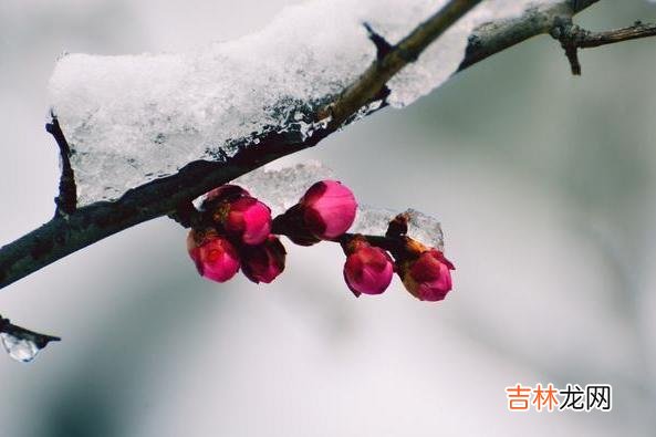 人在年轻的时候犯错或走弯路是可以理解 人到中年就要明白，四十岁以后少跟以下三种人联系了