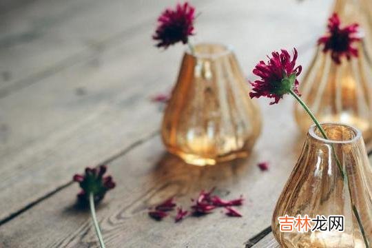 晚年千万别在儿子家做这些事，真的很蠢，坑人坑己