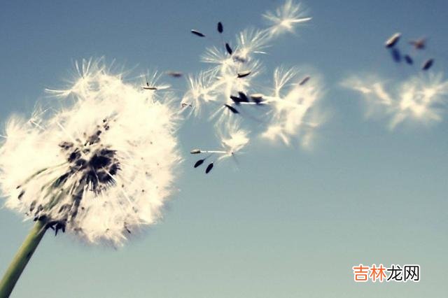 晚年千万别在儿子家做这些事，真的很蠢，坑人坑己