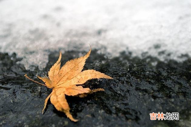 晚年千万别在儿子家做这些事，真的很蠢，坑人坑己