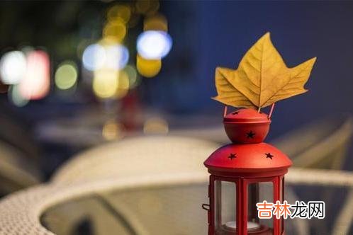 晚年千万别在儿子家做这些事，真的很蠢，坑人坑己