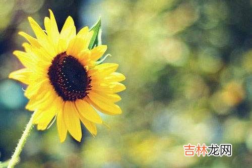 年龄不应该成为女人的标签 女人到了中年依然有异性撩，其实原因很简单