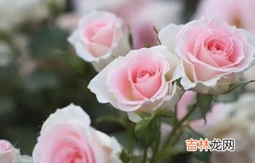 结婚并不是恋爱的终点站 中年夫妻离婚后，谁更容易晚年凄凉？谁做过错事，谁逃不过惩罚