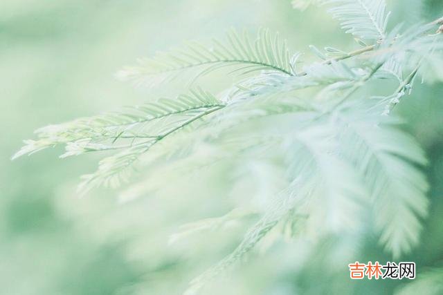 爱情之所以让人如此着迷 女人想跟你发展一段关系，其中最明显的三个信号