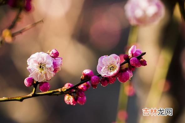 在如今这个浮躁的社会里 亲热过后，判断女人是否对你动了真情的关键词是：付出