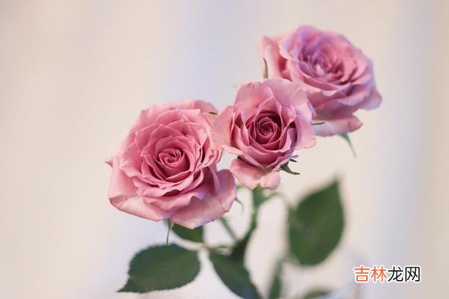 在如今这个浮躁的社会里 亲热过后，判断女人是否对你动了真情的关键词是：付出