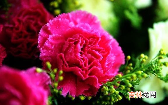 独立自信的女子，不需要将幸福建立在依靠婚姻的基础上