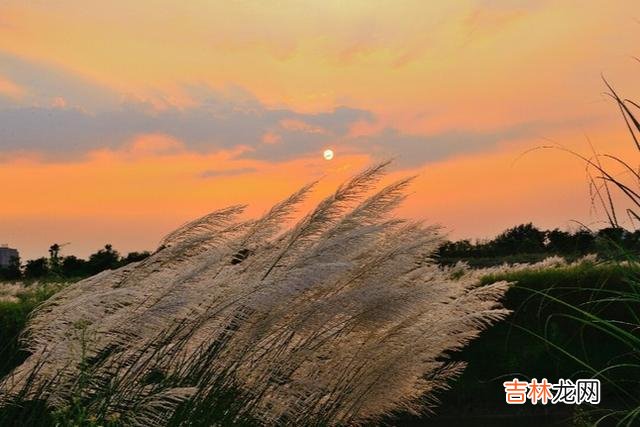 养儿一百岁 父母给子女结婚前拿出这三样东西，成为子女最大底气