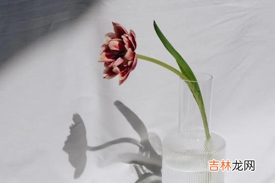 中国有一句古话叫作：生死有命 一个人是不是拥有富贵命，看这两个细节就知道了