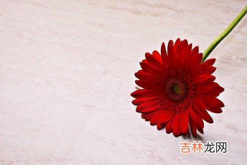 俗话说：家有一老 老人不幸遇到这三种无德老人，希望你一种也别遇到