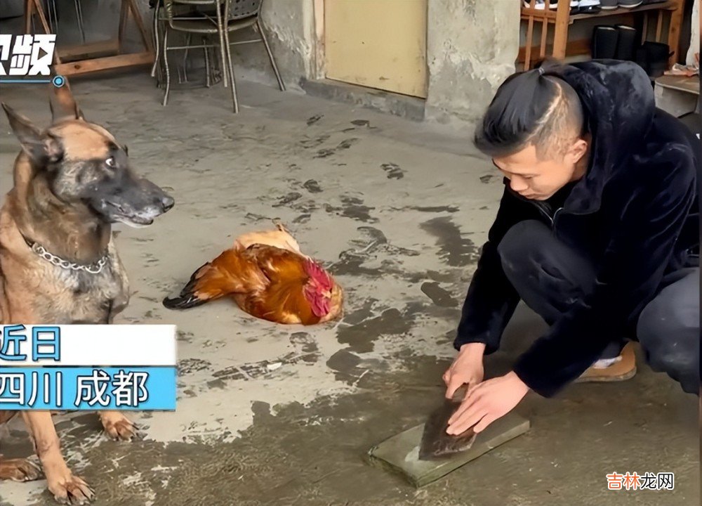 女生回男友家过元旦，天天都吃面条和冷菜，最终决定分手，分得好