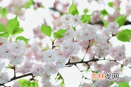 很多人到了中年以后 中年女人想要的爱情，其实就是这样的