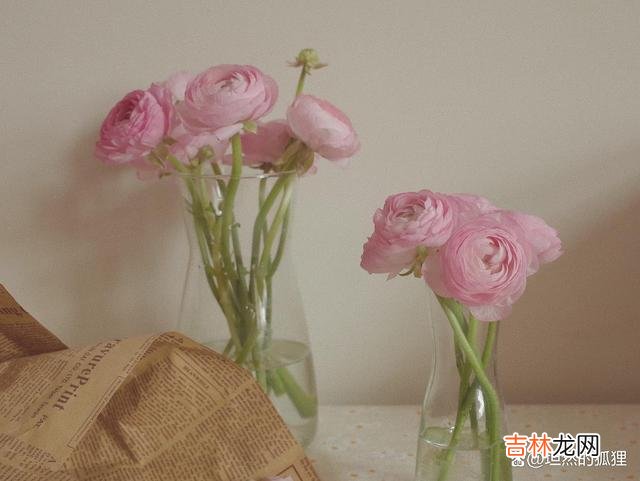 感情 女人面对男人,辨别他对你是真情还是假意,很重要