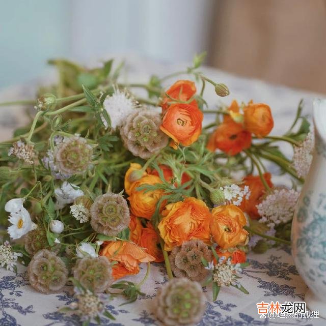 到了一定的年龄，你就会明白：一切，都会成为过去