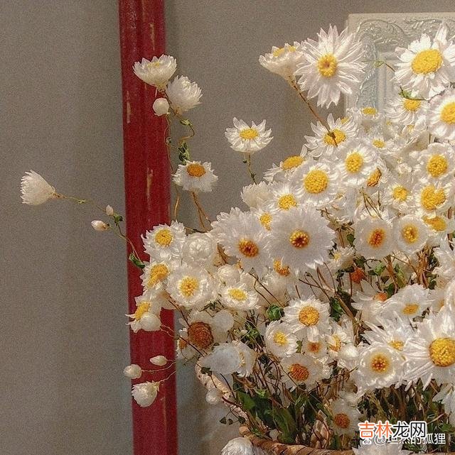 朋友曾经说过一句话 人生无常，活好当下，才是你最正确的选择