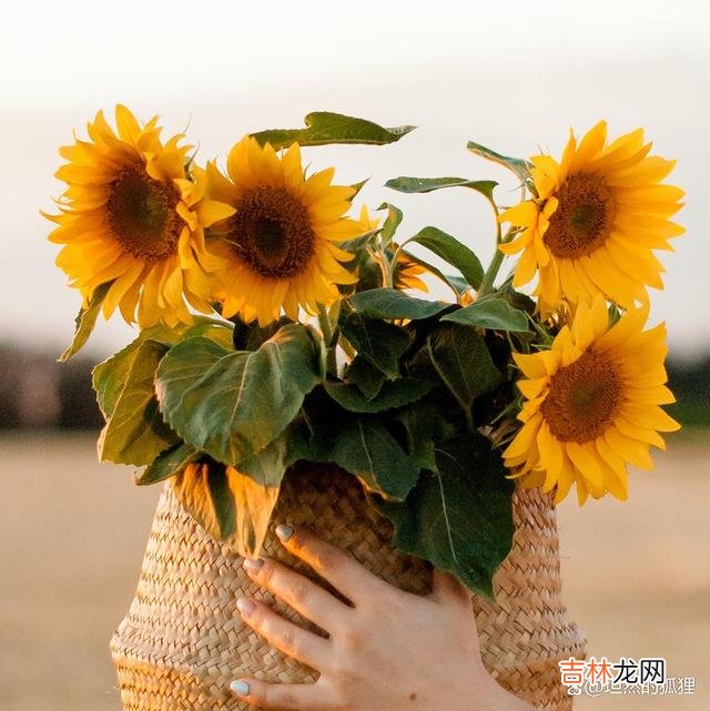 朋友曾经说过一句话 人生无常，活好当下，才是你最正确的选择