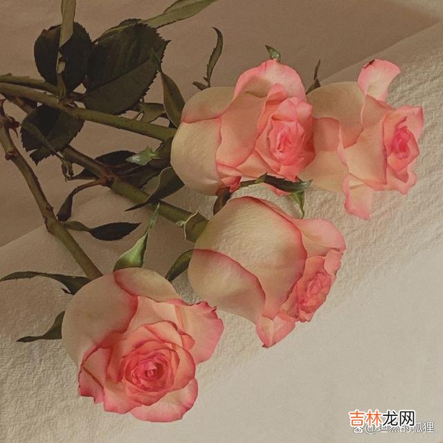 聪明女人的“装”，不是对待爱情不认真，而是一种经营策略