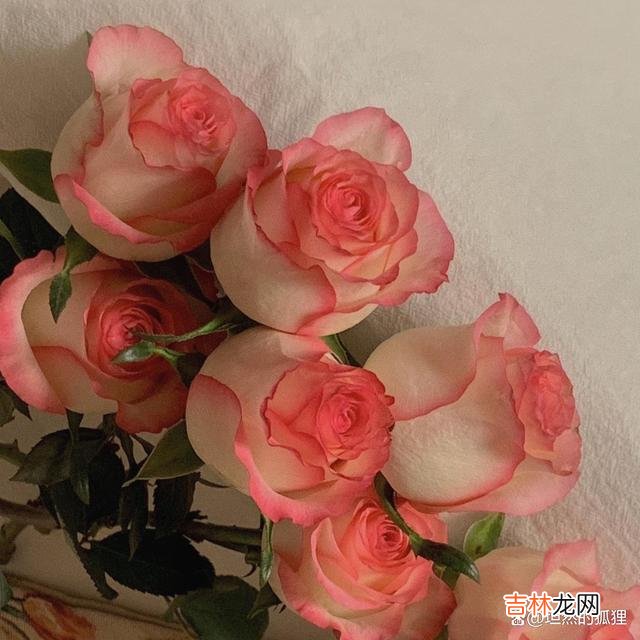 -01-或许 你会发现，男人在想你的时候，他会变得特别黏人，就好像一个孩子