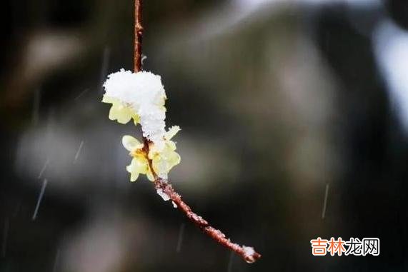 老了，老伴不在了，请你至少学会依靠以下三个人