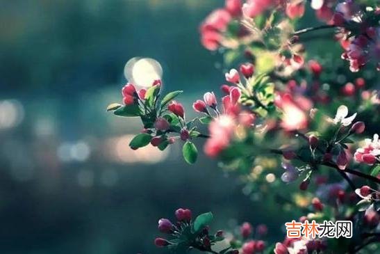 老了，老伴不在了，请你至少学会依靠以下三个人