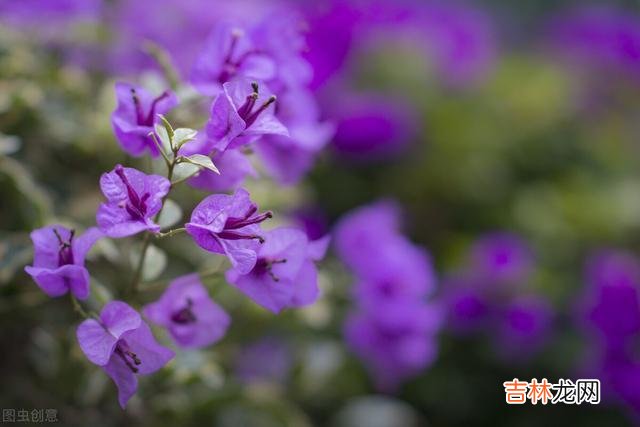 一句忠告：退休之后，不要随意请以下几种人吃饭