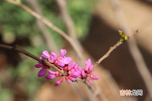 每个女人都对爱情有过美好的幻想 有些女人在爱中受过伤，不再相信爱情，选择一个人继续自己的生活