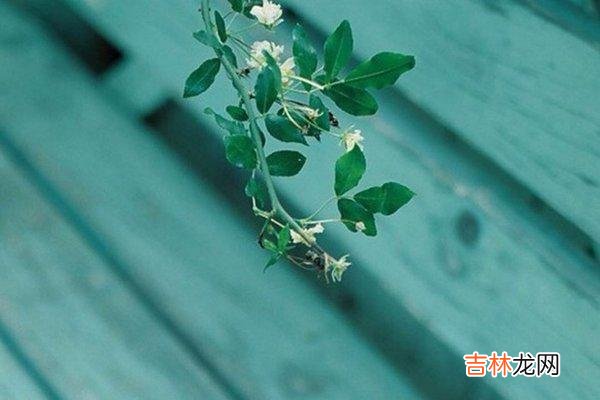 对于很多人来说 不管你过得好还是不好，都不要去这几种人家里串门，这是礼节