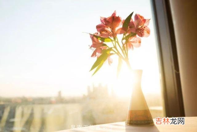 平日里见到一些生活过得好的人 能做到这四样的人，才是命运注定的天选之人