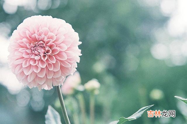 平日里见到一些生活过得好的人 能做到这四样的人，才是命运注定的天选之人