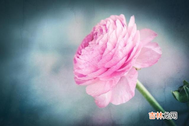 听过一句名言:朋友可不是人皆有之。|朋友圈中受欢迎的人,往往都有这三个特点