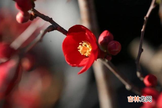 国学大家辜鸿铭曾说过 家事不同于其他的外人，不想变成仇人，这两件事不要做