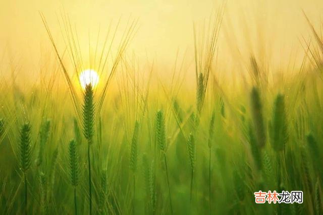 在以前 养女儿和养儿子还是有区别的，很现实