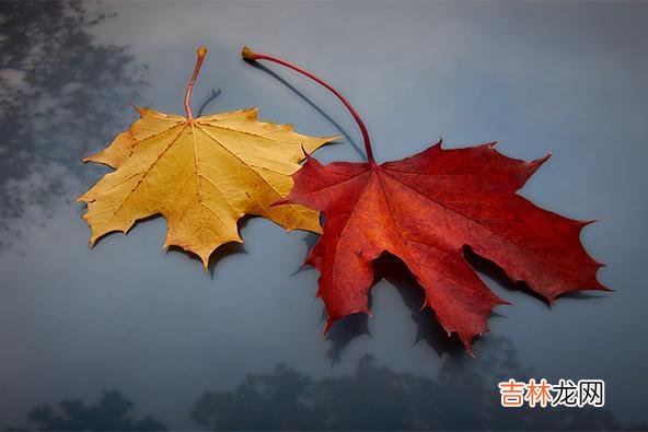 每个人在社会上都不可能是一个孤岛 不守承诺的朋友，一般都会有这三种表现