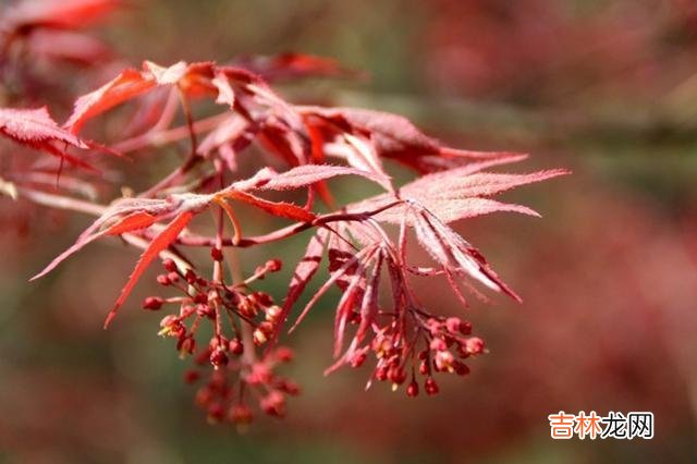 近几年离婚率越来越高 一位律师说了实话，其实在婚姻中，男人比女人更害怕离婚