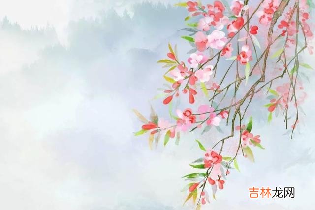 人这一辈子 人老了或是走不动了， 最亲的只有三个人